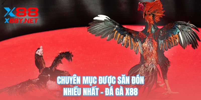 Chuyên mục được săn đón nhiều nhất - đá gà X88